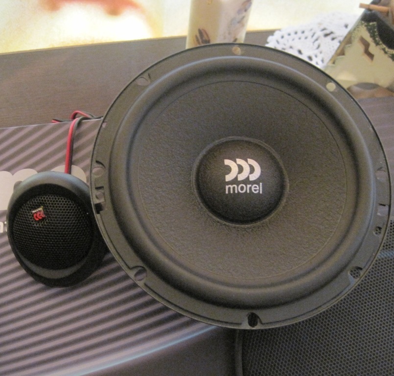 Morel maximo 6. Morel maximo 6